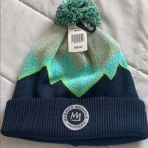 NWT Mammoth Beanie